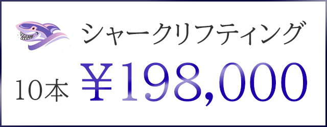 シャークリフティング10本198,000円