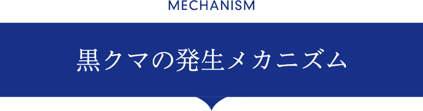 黒クマの発生メカニズム