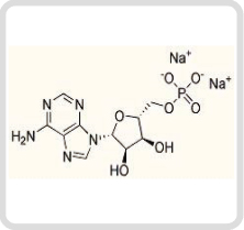 アデノシンリン酸ニナトリウム