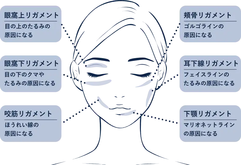 リガメントが衰えてしまうと