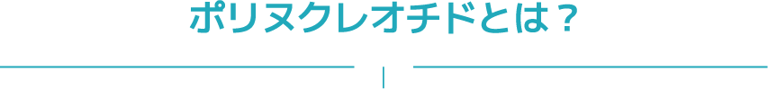 ポリヌクレオチドとは？