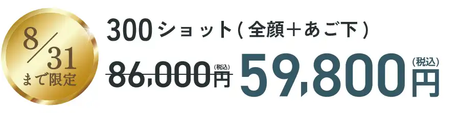 300ショット（全顔＋あご下）59,900円