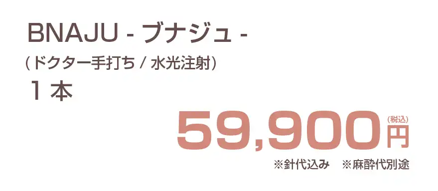 BNAJU（ブナジュ）の費用