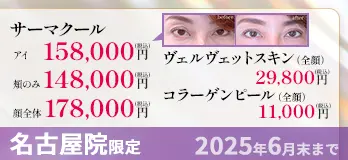 豊橋院限定